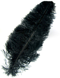 Straussenfeder 30cm schwarz